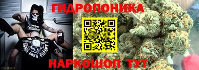 прущие крисы Пенза