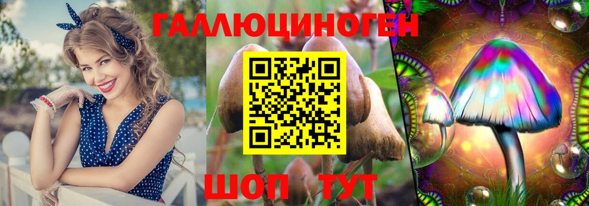 Советск  купить наркотики цена  Вход с VPN  Галлюциногенные грибы Magic Shrooms 